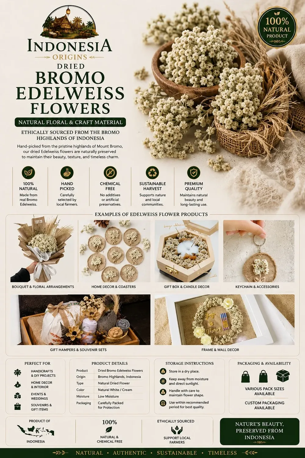 Dried Bromo Edelweiss Flowers — Indonesia Origins product