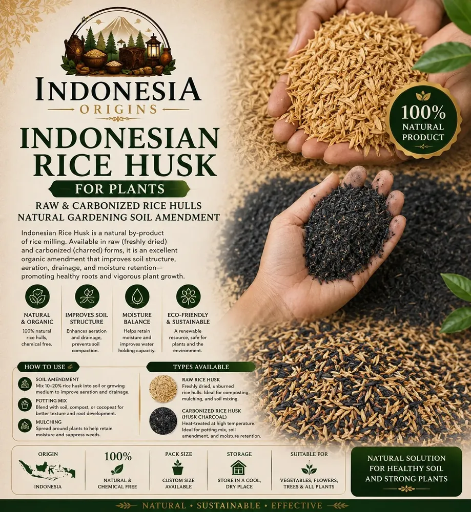 Rice Husk / Raw Rice Hulls — Indonesia Origins product